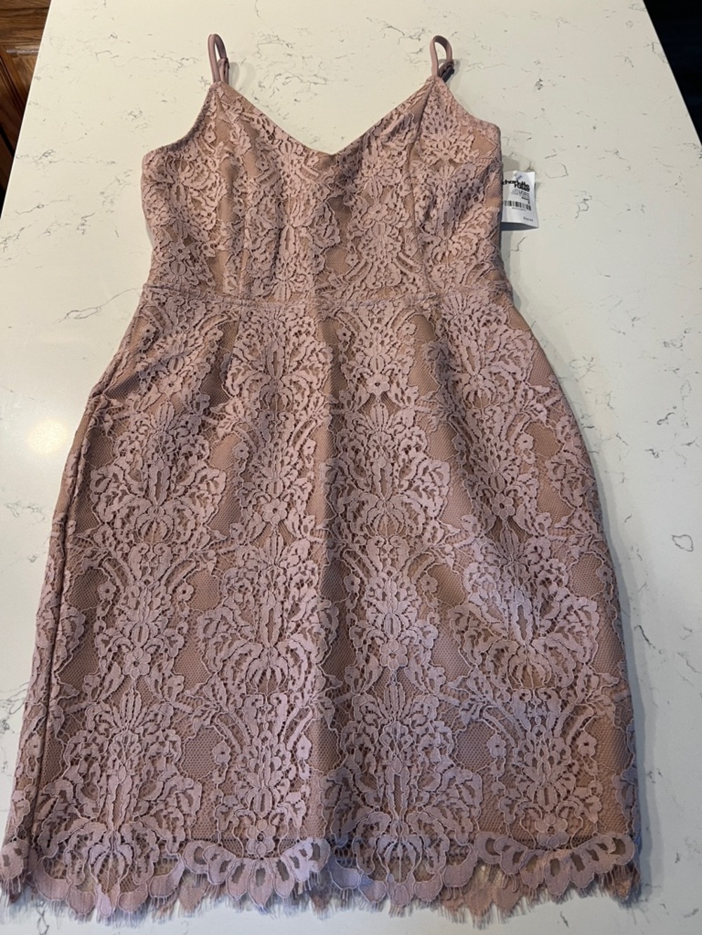 Charlotte Russe Blush Pink Lace Mini Dress